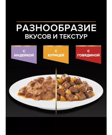 Purina Pro Plan Set of Pro PLAN PRO PLAN Kittens turkey 2.21kg - Buy Online on GoSupps.com