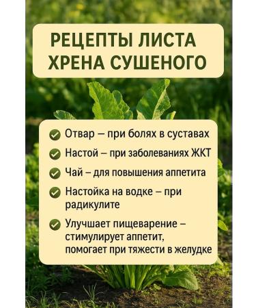 Horseradish leaf dried tea - Buy Online on GoSupps.com