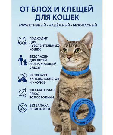 Poli Flea collar for small breed cats - Buy Online on GoSupps.com