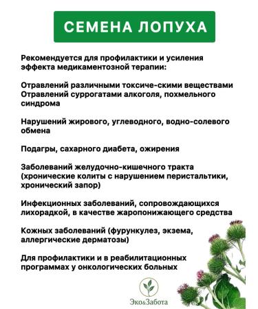 Biolit Tomsk Burdock seeds - Buy Online on GoSupps.com