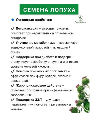 Biolit Tomsk Burdock seeds - Buy Online on GoSupps.com