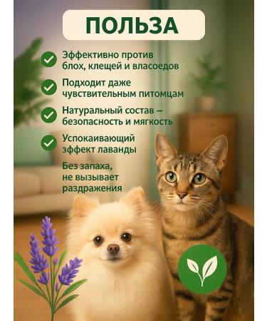 Celandine BIO Drops on the withers protection against fleas and ticks for cats and dogs - Buy Online on GoSupps.com