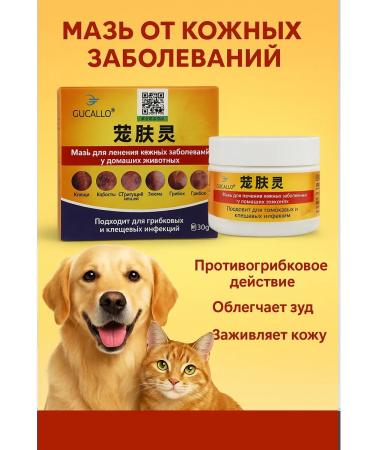 NAMAST Healing ointment for dogs from skin diseases and wounds - Buy Online on GoSupps.com