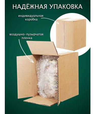 Solovievs' Apiaries Natural honey 2025 buckwheat 1 kg - Buy Online on GoSupps.com