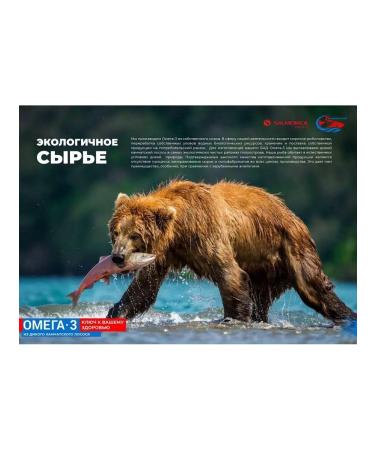 Omega 3 1000 mg wild Kamchatka salmon 42 diet - Buy Online on GoSupps.com