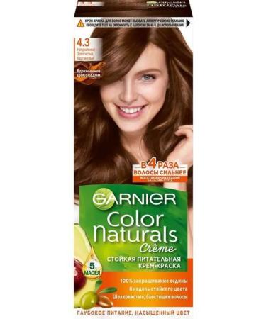 Garnier Hair dye tone 4.3 gold chestnut 110 ml