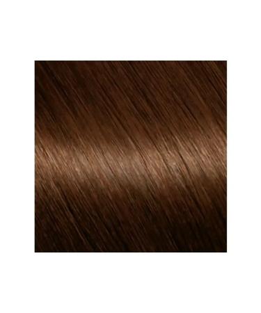 Garnier Hair dye tone 4.3 gold chestnut 110 ml - Buy Online on GoSupps.com