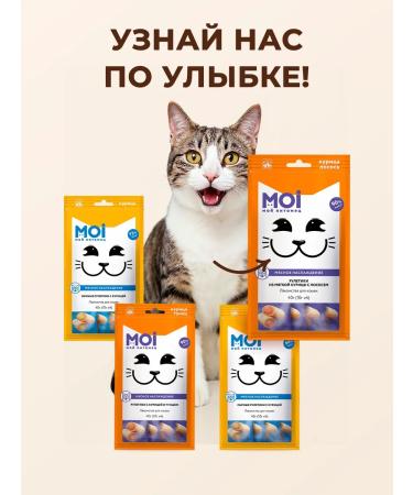 MOI A delicacy for cats of chicken roulettics with salmon 10g*4pcs - Buy Online on GoSupps.com