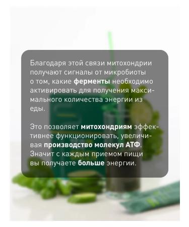 VILAVI TEO Green Theo Green Prebiotics for the intestine fiber - Buy Online on GoSupps.com