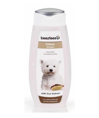 Beeztees white dog dogs