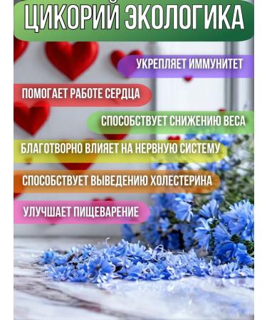 EcoLogic Chicory sublimated natural 12pcs of 75g - Buy Online on GoSupps.com