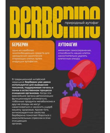 balance Fat burner for weight loss for women - Buy Online on GoSupps.com