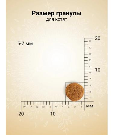 CRAFTIA Dry feed Harmona for kittens made of chicken and fish 1.4 kg - Buy Online on GoSupps.com