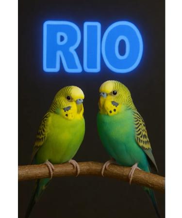 RIO Vitamin-mineral granules for small birds 120g - Buy Online on GoSupps.com