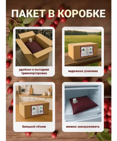 PC House of Berries Concentrated base of fruit drink natural lingonberries 2 kg - Buy Online on GoSupps.com