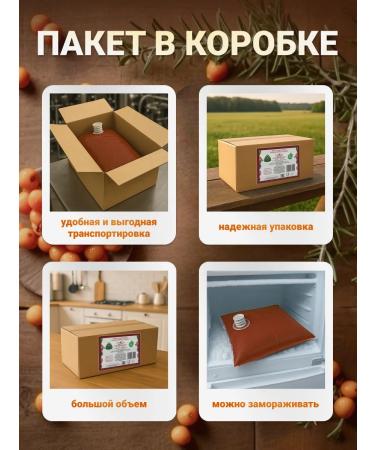 PC House of Berries Concentrated base of fruit drink natural sea buckthorn 2 kg - Buy Online on GoSupps.com