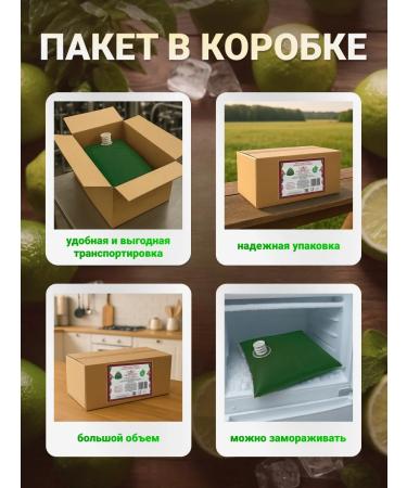 PC House of Berries Concentrate the basis of the mochito drink 2 kg - Buy Online on GoSupps.com