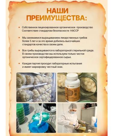 Yoway Ezhovik Channel Mycelium (Lions Mane) 120 capsules 700 mg - Buy Online on GoSupps.com