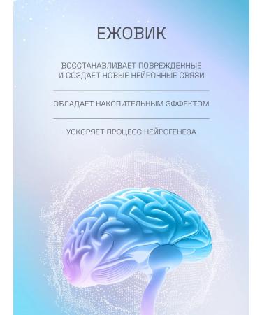 EVALITEsuperfood Combus ezhovik 64 capsules - Buy Online on GoSupps.com