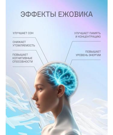 EVALITEsuperfood Combus ezhovik 32 capsules - Buy Online on GoSupps.com