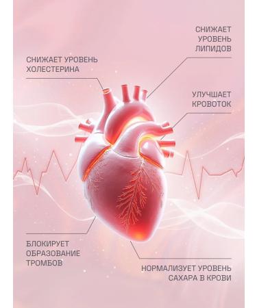 EVALITEsuperfood Cordyceps chaga Reishi and Shiytake extract - Buy Online on GoSupps.com