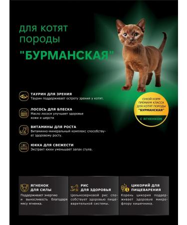 QUATTRO Burmanskaya kittens with lamb 2 kg - Buy Online on GoSupps.com