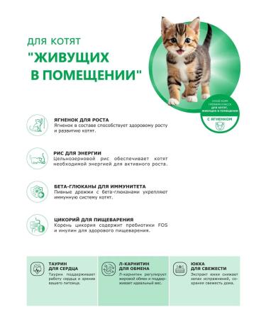 QUATTRO Feed for kittens living in the room with lamb 2 kg - Buy Online on GoSupps.com