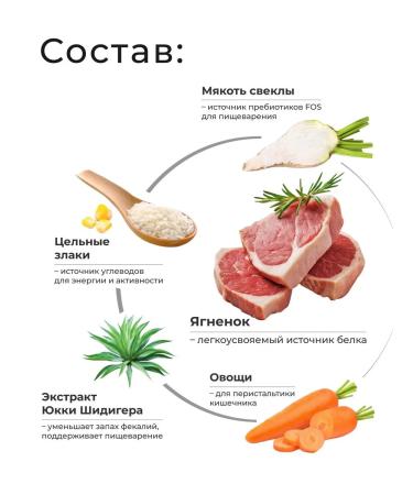 QUATTRO Feed for kittens living in the room with lamb 2 kg - Buy Online on GoSupps.com