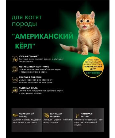 QUATTRO Feed for kittens American caterl with lamb 2 kg - Buy Online on GoSupps.com