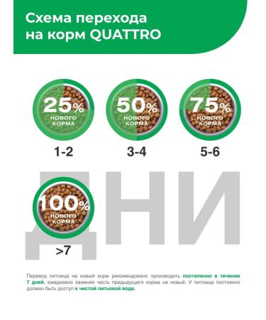 QUATTRO Feed for kittens of all breeds with lamb 2 kg - Buy Online on GoSupps.com