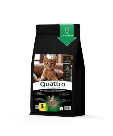 QUATTRO Feed for kittens Abyssinian with lamb 2 kg