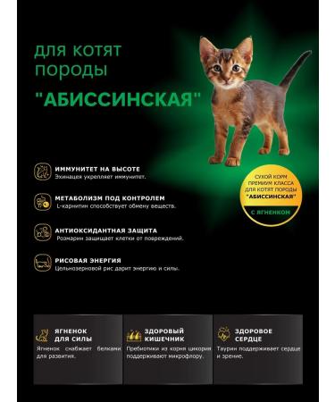 QUATTRO Feed for kittens Abyssinian with lamb 2 kg - Buy Online on GoSupps.com