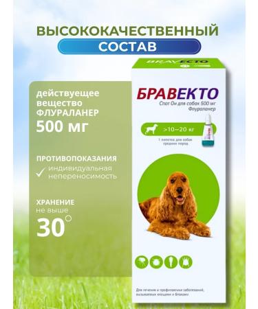 bravecto Drops from spot ticks it 500 mg for dogs 10-20 kg - Buy Online on GoSupps.com