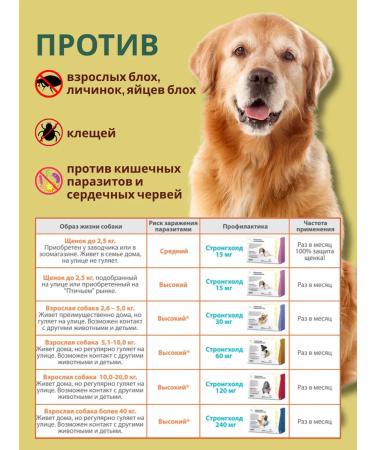 Zoetis Stronghold tick drops for dogs and cats 10-20 kg 3 pieces - Buy Online on GoSupps.com