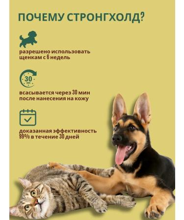 Zoetis Stronghold tick drops for dogs and cats 10-20 kg 3 pieces - Buy Online on GoSupps.com