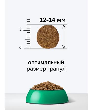 Organix Dry food for dogs with salmon fruits and vegetables 10 kg - Buy Online on GoSupps.com