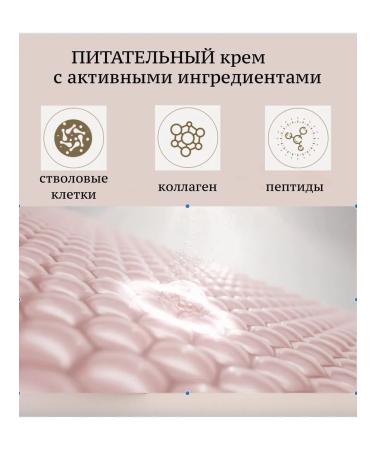 Co val Facial cream anti -aging Korea - Buy Online on GoSupps.com