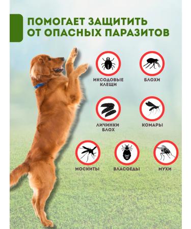 Elanco Advances from dog ticks  - Buy Online on GoSupps.com