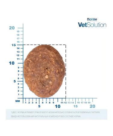 MONGE VetSolution for dogs for skin diseases with salmon 2 kg - Buy Online on GoSupps.com