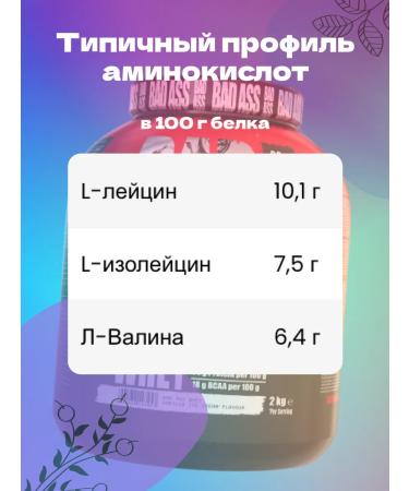 BAD ASS ISOBOLIC 2 kg isolate serum protein (Poland) - Buy Online on GoSupps.com