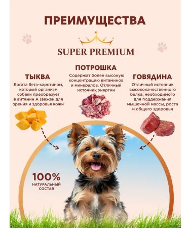 Chester Wet feed for dogs of small breeds with beef-240g x 12pcs - Buy Online on GoSupps.com