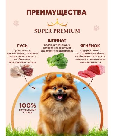 Chester Wet food for dogs of small breeds with gussy - 240 g x 12 pcs - Buy Online on GoSupps.com