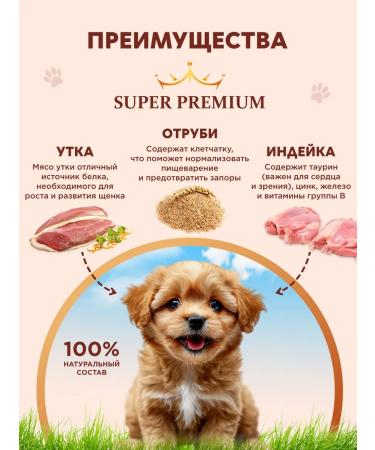 Chester Wet food for small breed puppies with turkey-240g x 12pcs - Buy Online on GoSupps.com