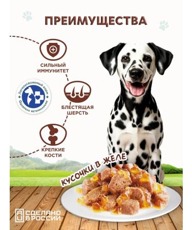 Chester Wet food for dogs of all breeds with lamb - 850 g x 6 pcs - Buy Online on GoSupps.com