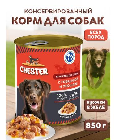 Chester Wet feed for dogs of all beef breeds - 850g x 6pcs - Buy Online on GoSupps.com