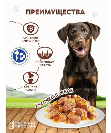 Chester Wet feed for dogs of all beef breeds - 850g x 6pcs - Buy Online on GoSupps.com