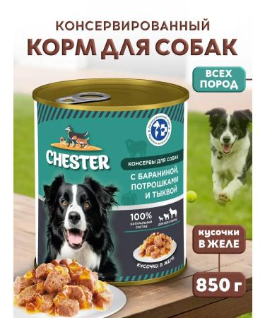 Chester Wet feed for dogs of all breeds with lamb - 850g x 6pcs - Buy Online on GoSupps.com