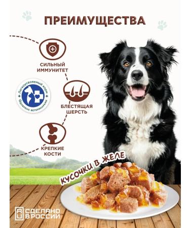 Chester Wet feed for dogs of all breeds with lamb - 850g x 6pcs - Buy Online on GoSupps.com