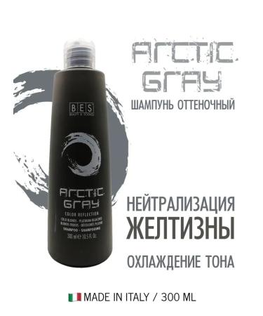 BES Tinted shampoo Arctic Gray 300 ml