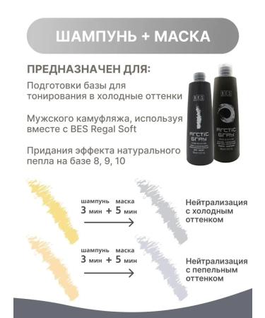 BES Tinted shampoo Arctic Gray 300 ml - Buy Online on GoSupps.com